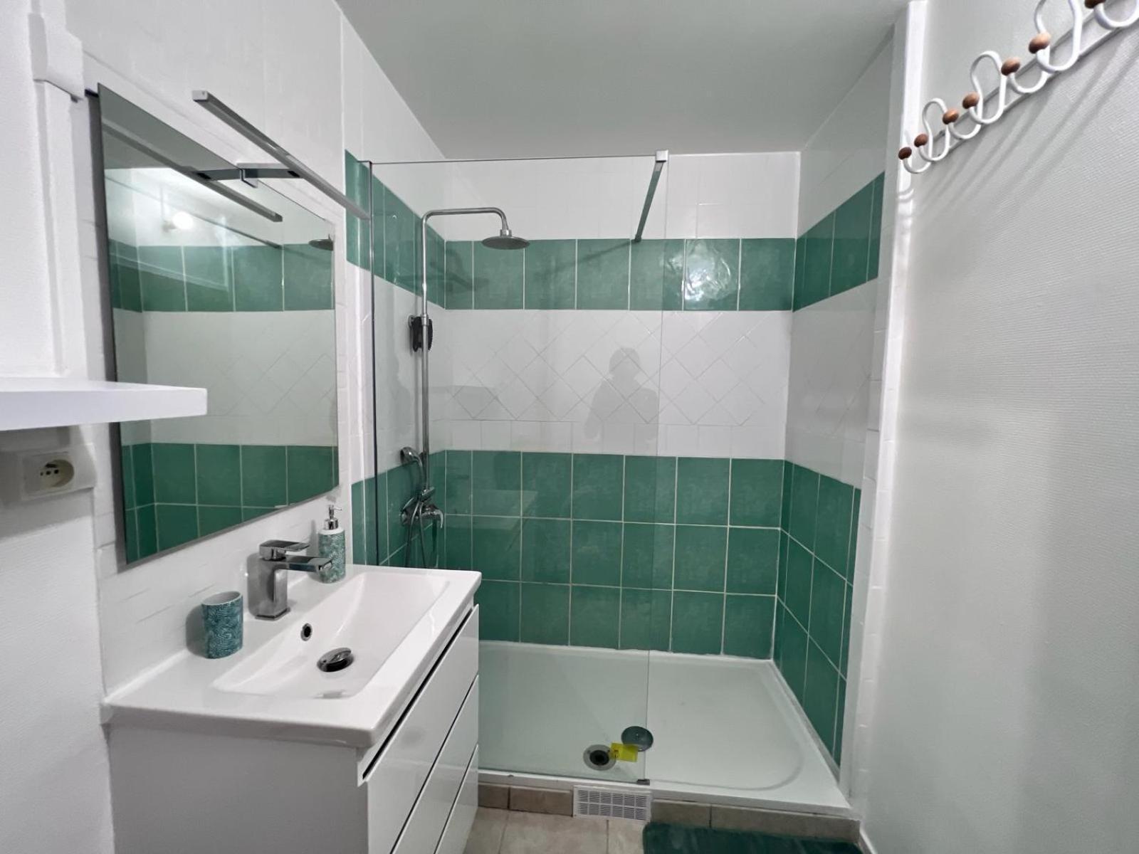 Appartement Au Duleing House Orléans Dış mekan fotoğraf