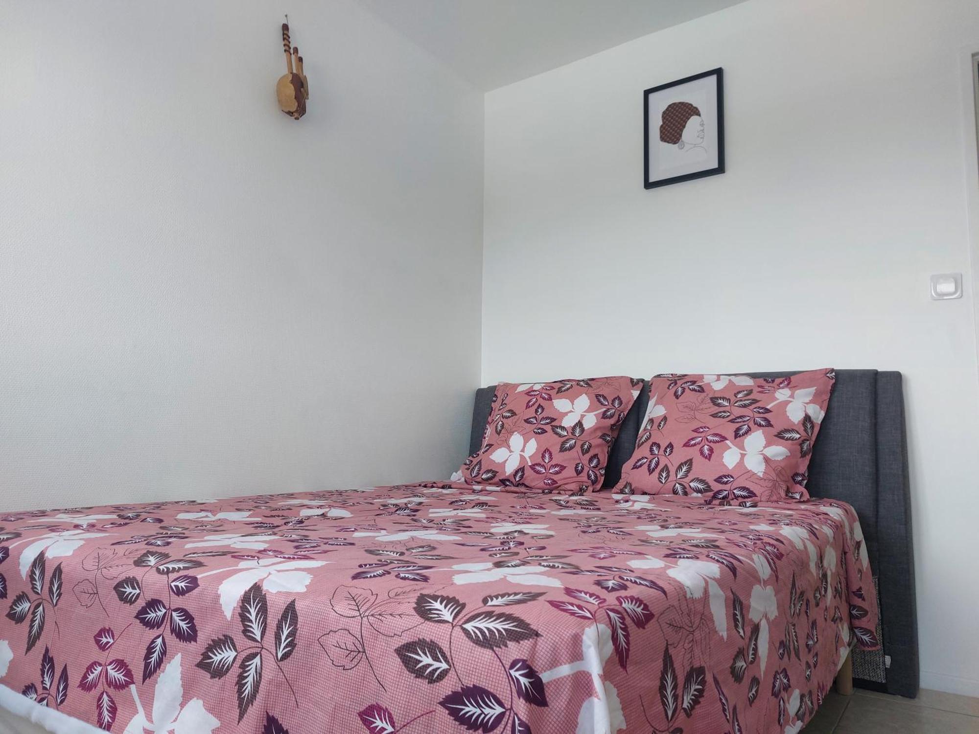 Appartement Au Duleing House Orléans Dış mekan fotoğraf