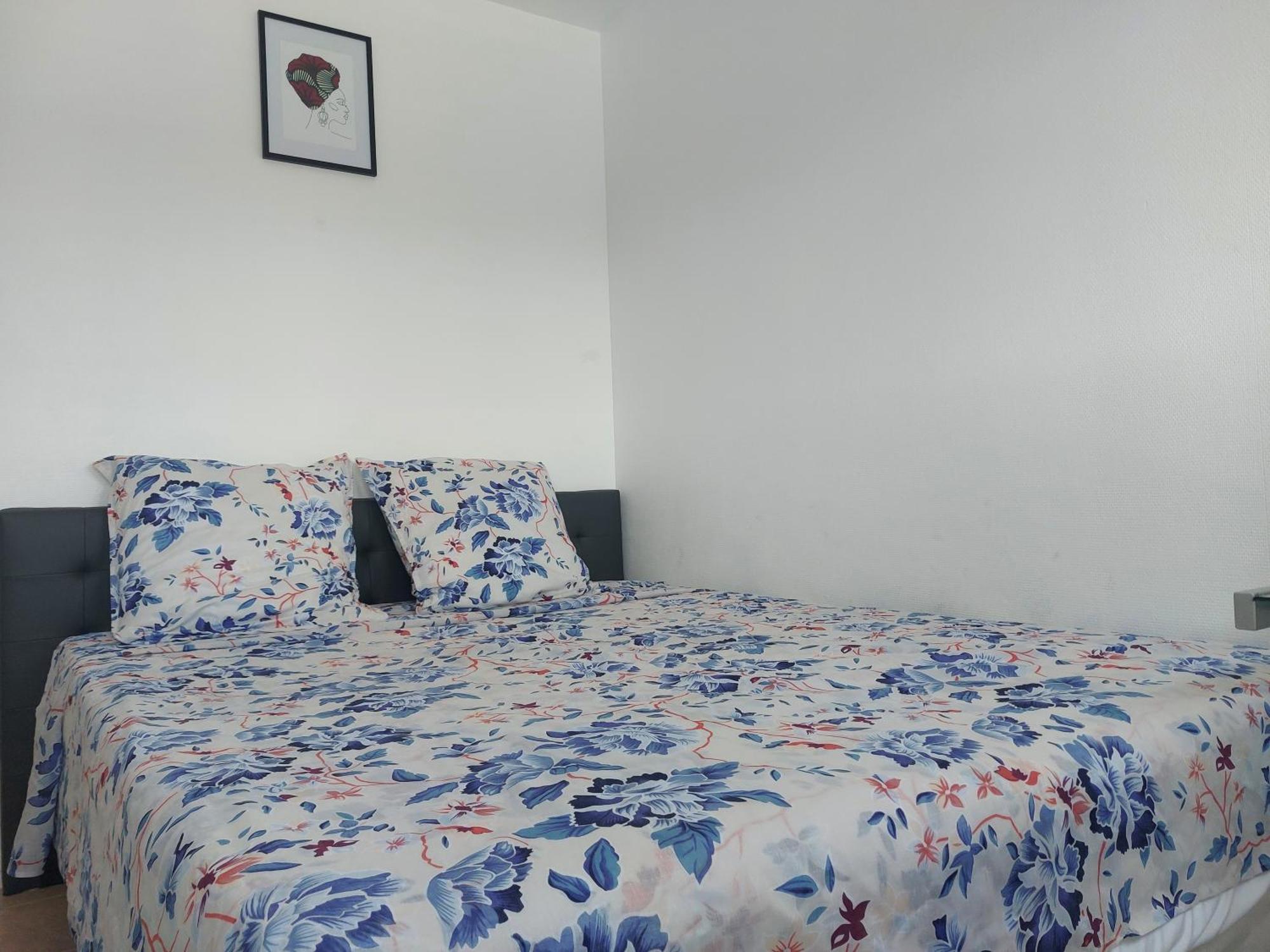 Appartement Au Duleing House Orléans Dış mekan fotoğraf